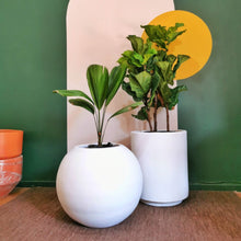 Cargar imagen en el visor de la galería, Maceta Cilíndrica #0