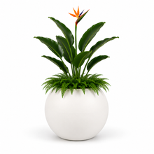 Cargar imagen en el visor de la galería, Maceta Esfera Polietileno
