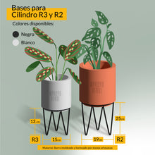 Cargar imagen en el visor de la galería, Maceta Cilíndrica CR2
