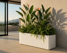 Cargar imagen en el visor de la galería, Jardinera Grande