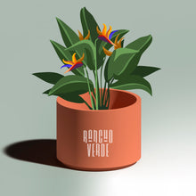 Cargar imagen en el visor de la galería, Maceta Queso #3