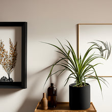 Cargar imagen en el visor de la galería, Pata de Elefante