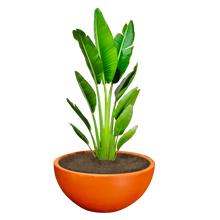 Cargar imagen en el visor de la galería, Maceta Media Naranja #2