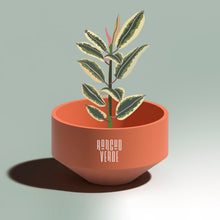 Cargar imagen en el visor de la galería, Maceta Trompo #2