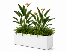 Cargar imagen en el visor de la galería, Jardinera Grande
