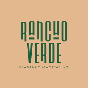 RANCHO VERDE MX
