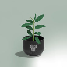 Cargar imagen en el visor de la galería, Maceta Taza #5
