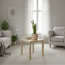 Cargar imagen en el visor de la galería, Maceta Ceramica Oruga con planta Sanseviera
