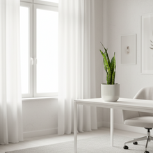Cargar imagen en el visor de la galería, Maceta Ceramica SemiRayas blanca con planta Sanseviera
